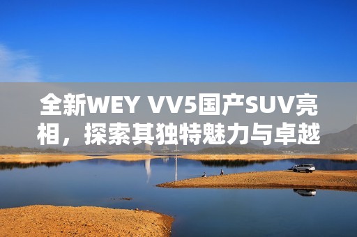 全新WEY VV5国产SUV亮相，探索其独特魅力与卓越性能