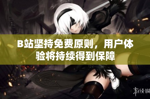 B站坚持免费原则，用户体验将持续得到保障