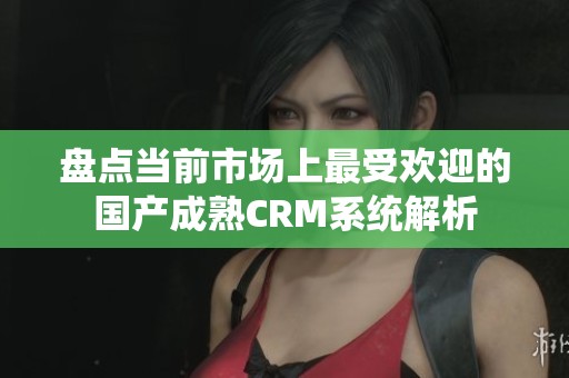 盘点当前市场上最受欢迎的国产成熟CRM系统解析