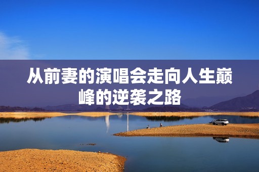 从前妻的演唱会走向人生巅峰的逆袭之路