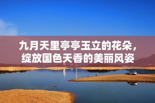 九月天里亭亭玉立的花朵，绽放国色天香的美丽风姿