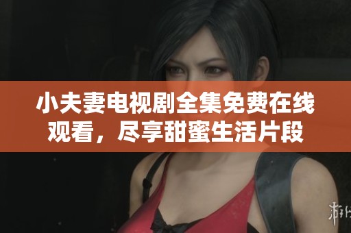 小夫妻电视剧全集免费在线观看，尽享甜蜜生活片段