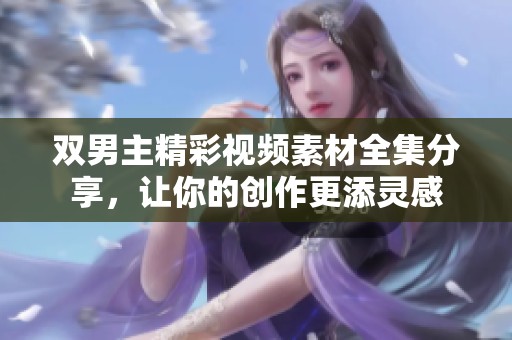双男主精彩视频素材全集分享，让你的创作更添灵感