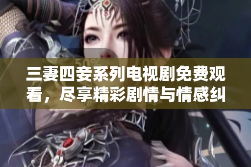 三妻四妾系列电视剧免费观看，尽享精彩剧情与情感纠葛