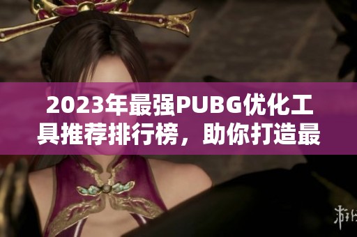 2023年最强PUBG优化工具推荐排行榜，助你打造最佳射击体验