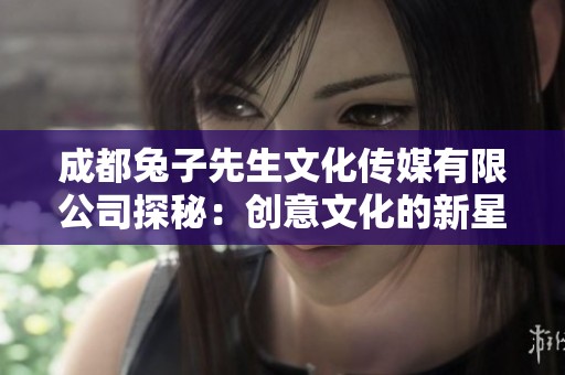 成都兔子先生文化传媒有限公司探秘：创意文化的新星崛起