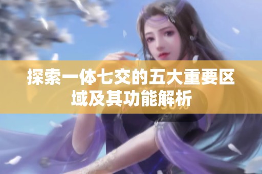 探索一体七交的五大重要区域及其功能解析