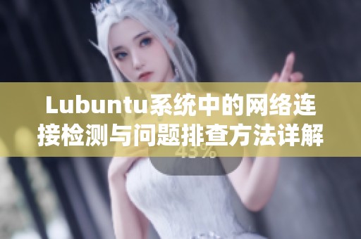 Lubuntu系统中的网络连接检测与问题排查方法详解