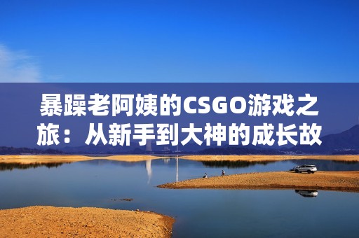 暴躁老阿姨的CSGO游戏之旅：从新手到大神的成长故事