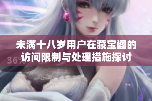未满十八岁用户在藏宝阁的访问限制与处理措施探讨
