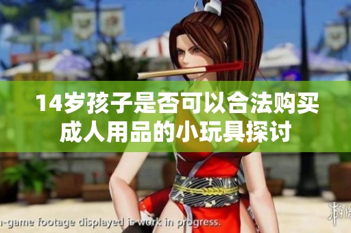 14岁孩子是否可以合法购买成人用品的小玩具探讨