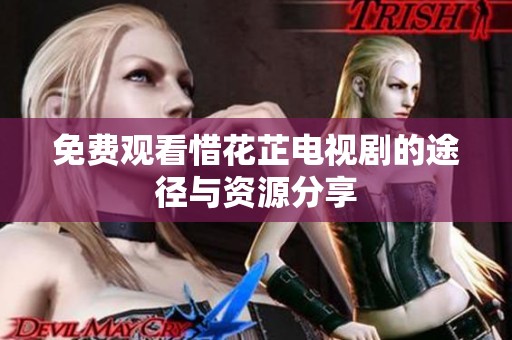 免费观看惜花芷电视剧的途径与资源分享