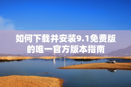 如何下载并安装9.1免费版的唯一官方版本指南