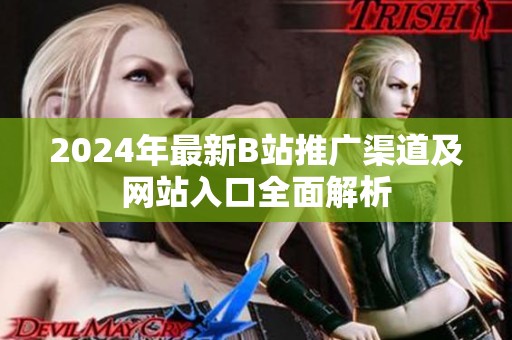 2024年最新B站推广渠道及网站入口全面解析