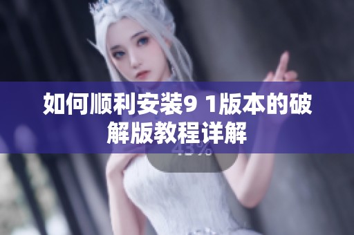 如何顺利安装9 1版本的破解版教程详解