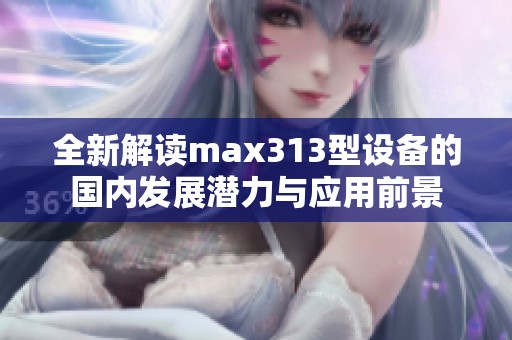 全新解读max313型设备的国内发展潜力与应用前景