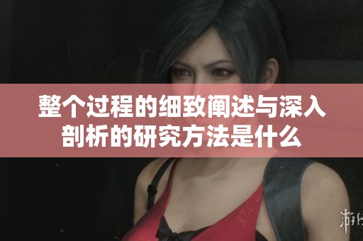 整个过程的细致阐述与深入剖析的研究方法是什么