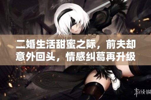 二婚生活甜蜜之际，前夫却意外回头，情感纠葛再升级