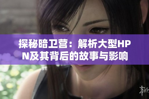 探秘暗卫营：解析大型HPN及其背后的故事与影响