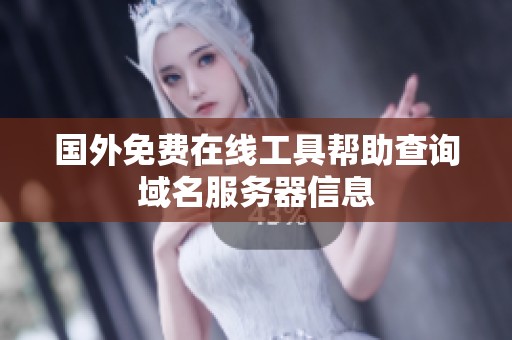 国外免费在线工具帮助查询域名服务器信息