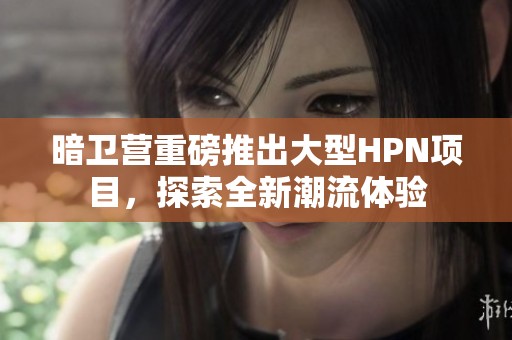 暗卫营重磅推出大型HPN项目，探索全新潮流体验
