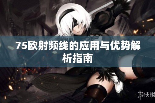 75欧射频线的应用与优势解析指南