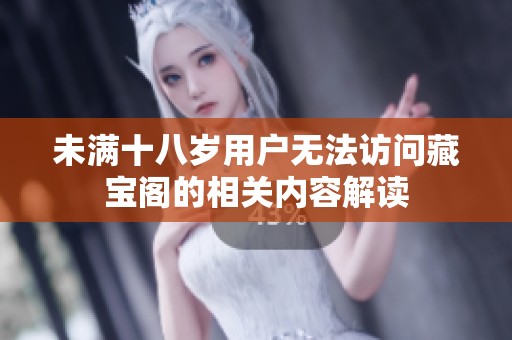 未满十八岁用户无法访问藏宝阁的相关内容解读