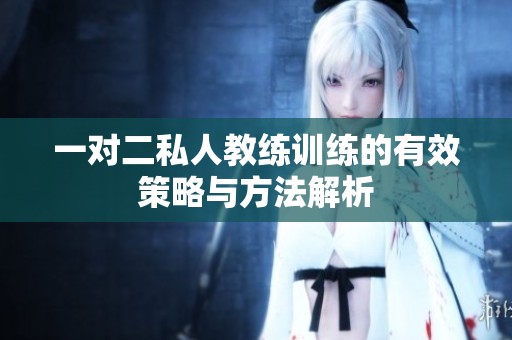 一对二私人教练训练的有效策略与方法解析