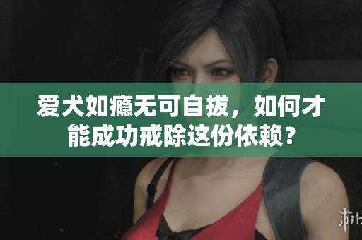 爱犬如瘾无可自拔，如何才能成功戒除这份依赖？
