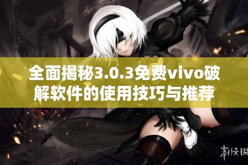 全面揭秘3.0.3免费vivo破解软件的使用技巧与推荐