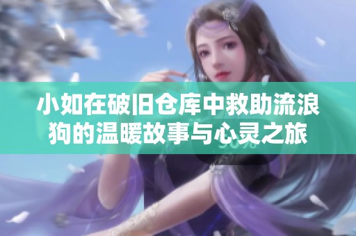 小如在破旧仓库中救助流浪狗的温暖故事与心灵之旅