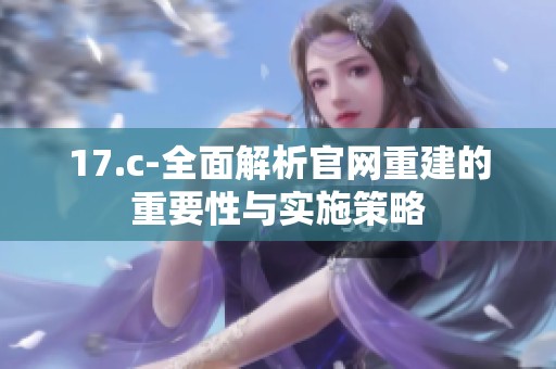 17.c-全面解析官网重建的重要性与实施策略