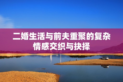 二婚生活与前夫重聚的复杂情感交织与抉择