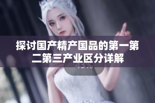 探讨国产精产国品的第一第二第三产业区分详解