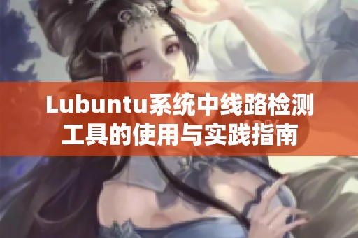 Lubuntu系统中线路检测工具的使用与实践指南
