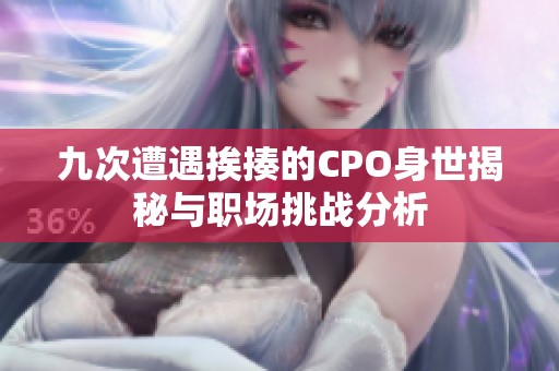 九次遭遇挨揍的CPO身世揭秘与职场挑战分析