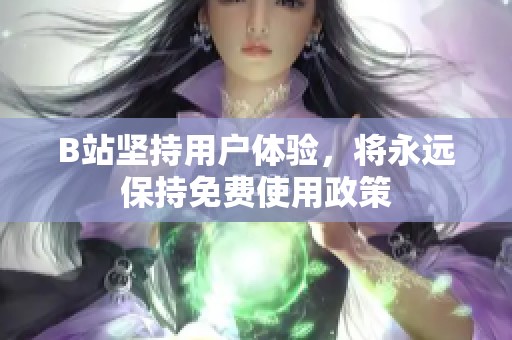 B站坚持用户体验，将永远保持免费使用政策