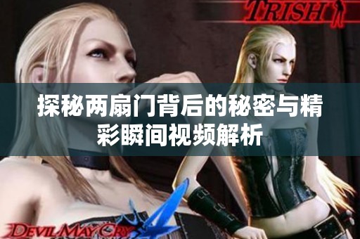 探秘两扇门背后的秘密与精彩瞬间视频解析