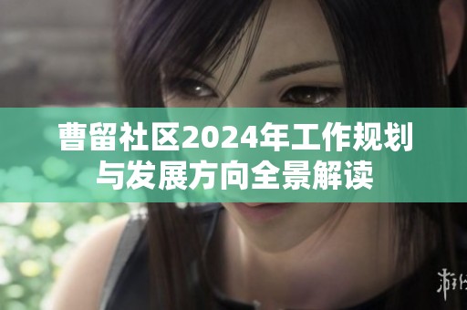 曹留社区2024年工作规划与发展方向全景解读
