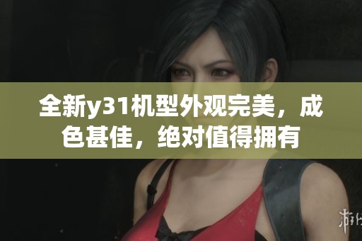 全新y31机型外观完美，成色甚佳，绝对值得拥有