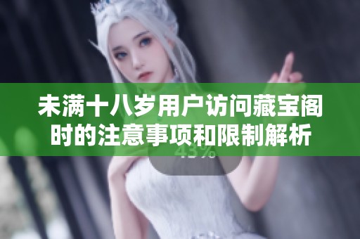 未满十八岁用户访问藏宝阁时的注意事项和限制解析
