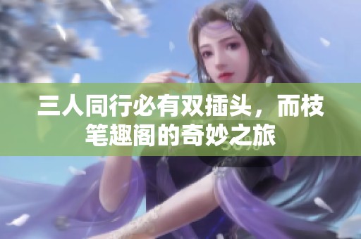 三人同行必有双插头，而枝笔趣阁的奇妙之旅