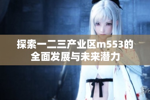 探索一二三产业区m553的全面发展与未来潜力