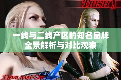 一线与二线产区的知名品牌全景解析与对比观察