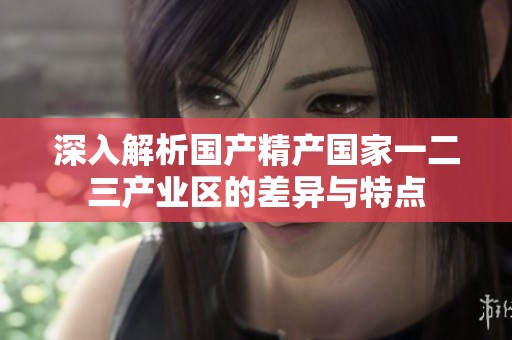 深入解析国产精产国家一二三产业区的差异与特点