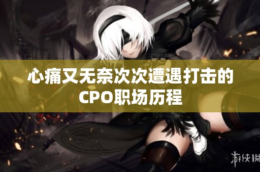 心痛又无奈次次遭遇打击的CPO职场历程