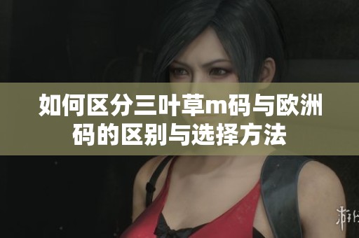 如何区分三叶草m码与欧洲码的区别与选择方法