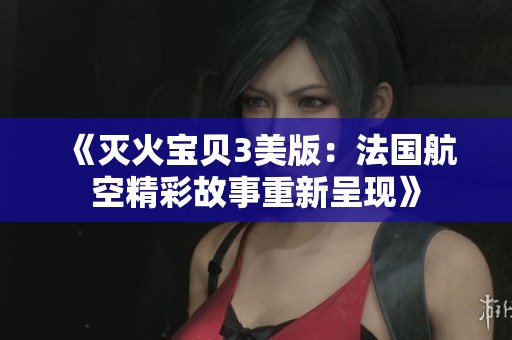 《灭火宝贝3美版：法国航空精彩故事重新呈现》