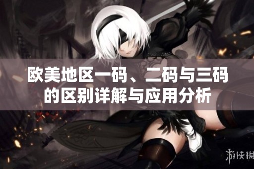 欧美地区一码、二码与三码的区别详解与应用分析
