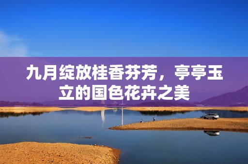 九月绽放桂香芬芳，亭亭玉立的国色花卉之美